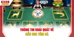 Thông tin khái quát về bầu cua tôm cá